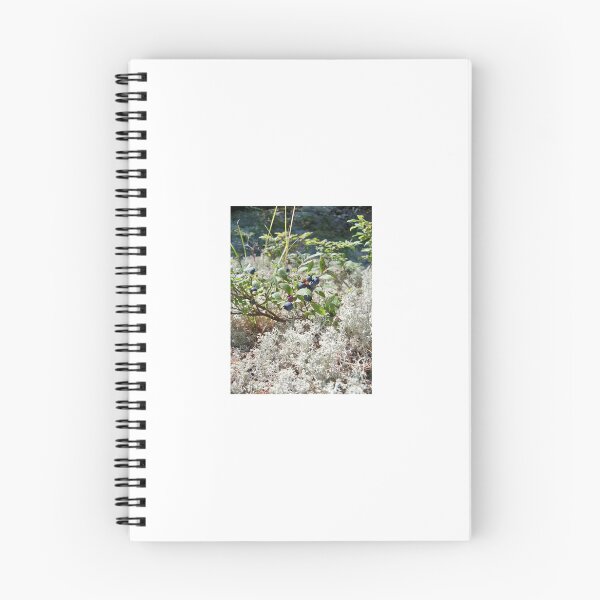 Item preview, Maine Blueberry  designed and sold by Mountain Images.
