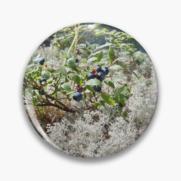 Item preview, Maine Blueberry  designed and sold by Mountain Images.