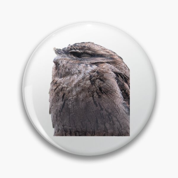 Item preview, Sleepy Tawny Frogmouth  designed and sold by FederalFeathers.