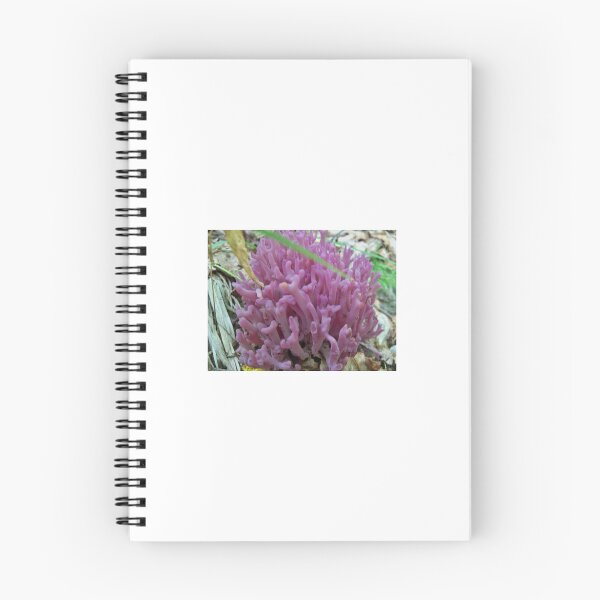 Item preview, Not a Coral Reef, A Maine Mountain  designed and sold by Mountain Images.
