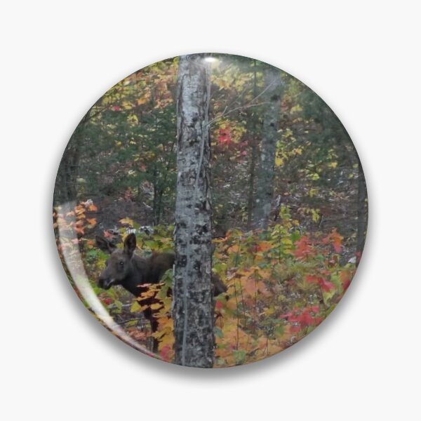 Item preview, Baby Moose behind fall filliage  designed and sold by Mountain Images.