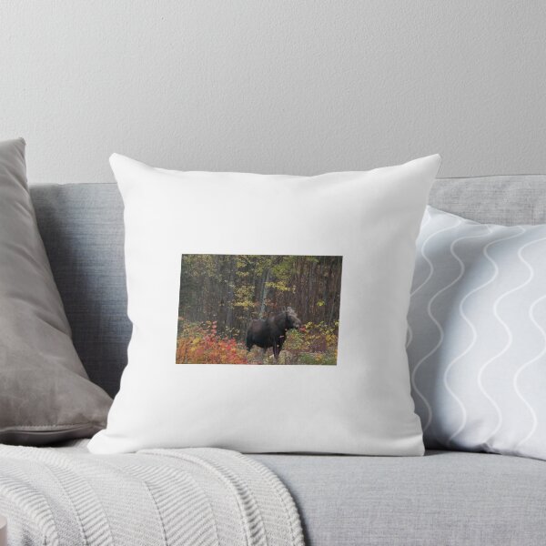 Item preview, Fall Moose protecting baby in Maine designed and sold by Mountain Images.