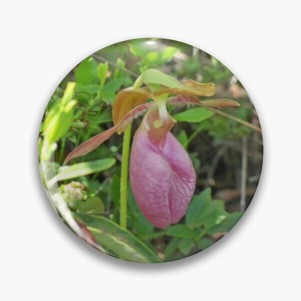 Item preview, Pink Lady Slipper designed and sold by Mountain Images.