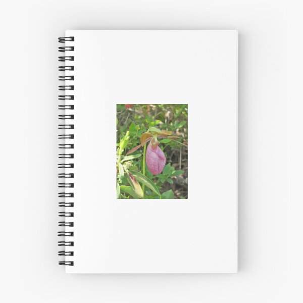 Item preview, Pink Lady Slipper designed and sold by Mountain Images.