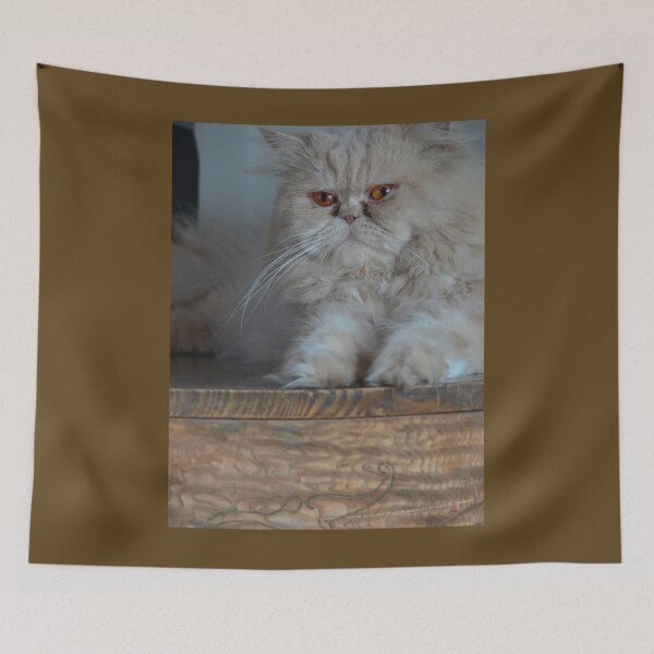 Item preview, Aris Cat on Grand Piano (Photo by AliceCCI) designed and sold by VanyssaGraphics.