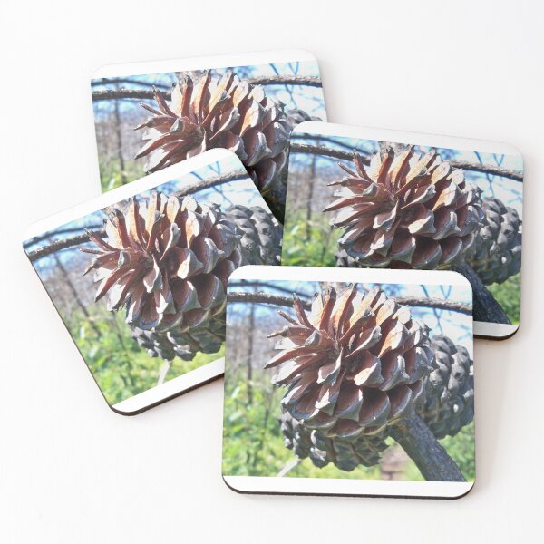 Item preview, Pinecone state designed and sold by Mountain Images.