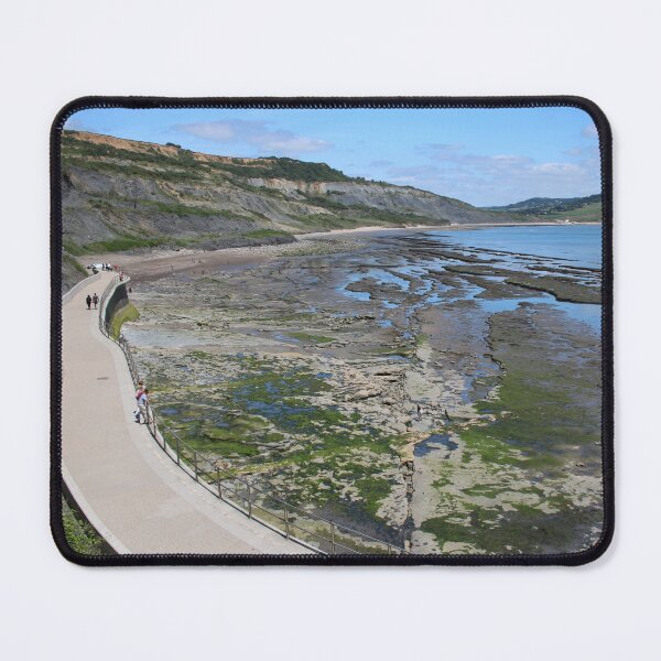 Item preview, Jurassic Beach designed and sold by Rachel J Bowler.