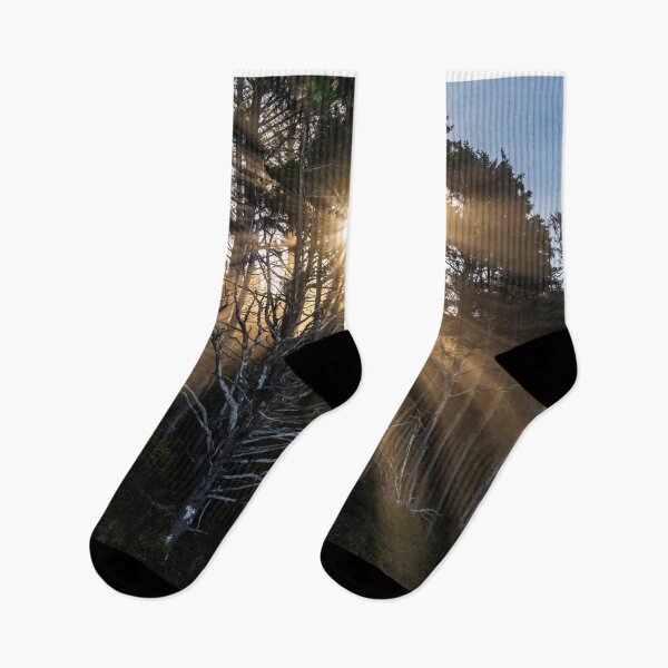Item preview, Morning Inspiration designed and sold by DawsonImages.