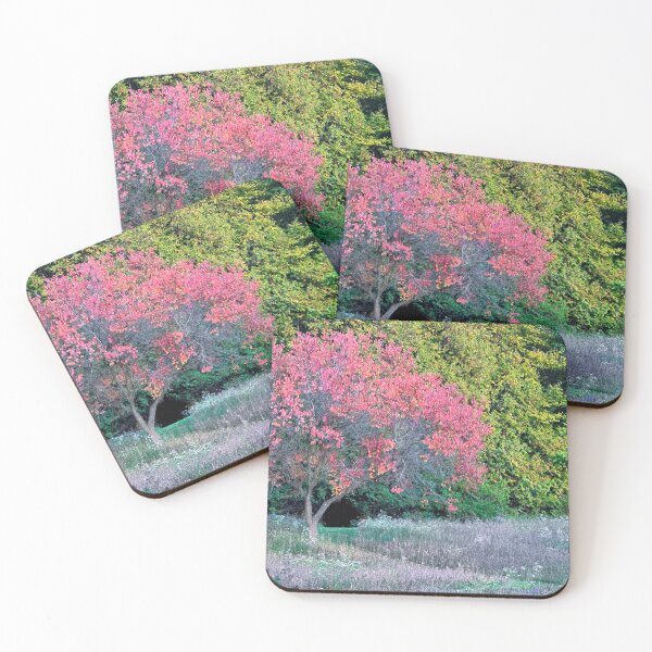 Item preview, Apricot and Bluebird Box designed and sold by stopal.
