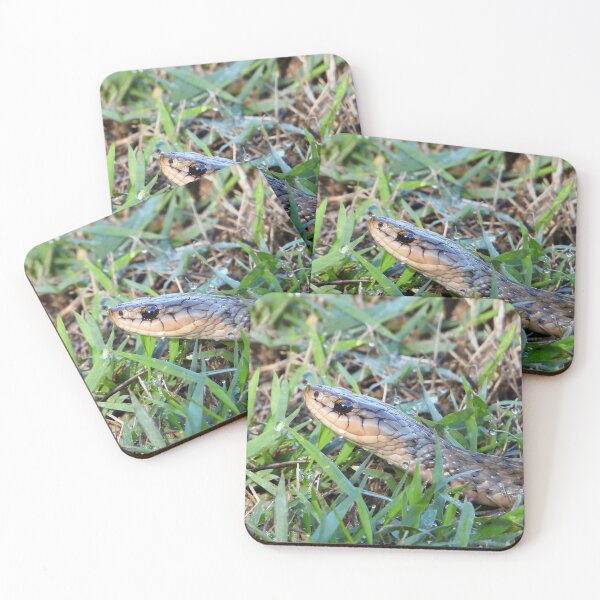 Item preview, Keelback snake close up in wet grass designed and sold by Mark Grimsley.
