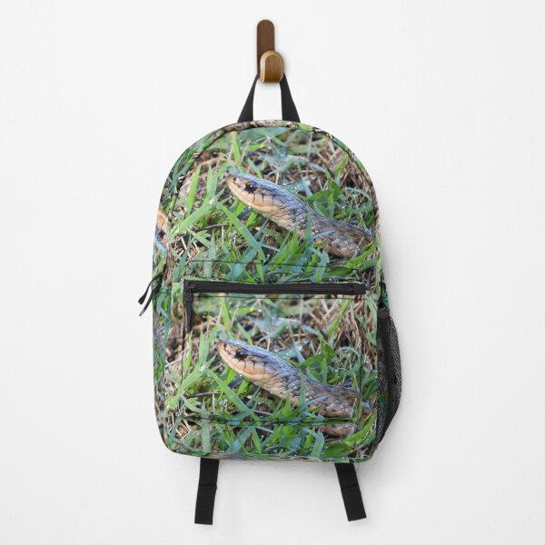 Item preview, Keelback snake close up in wet grass designed and sold by Mark Grimsley.