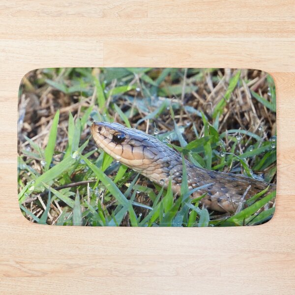 Item preview, Keelback snake close up in wet grass designed and sold by Mark Grimsley.