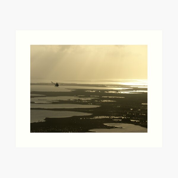 Flying near the Keys Art Print