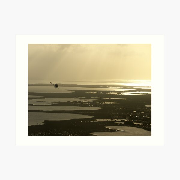 Flying near the Keys Art Print
