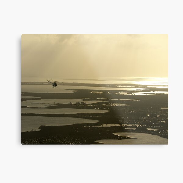 Flying near the Keys Metal Print