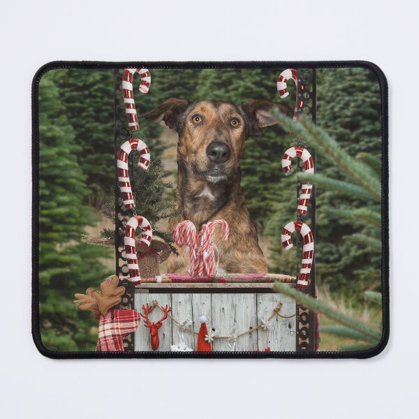 Item preview, Bonnie the Christmas Candy Cane Dealer designed and sold by Rainbow Farm Photography.