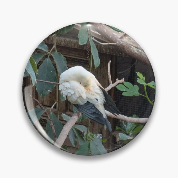 Artikelvorschau, Vogel im Federkleid entworfen und verkauft von VirginiaHDesign.
