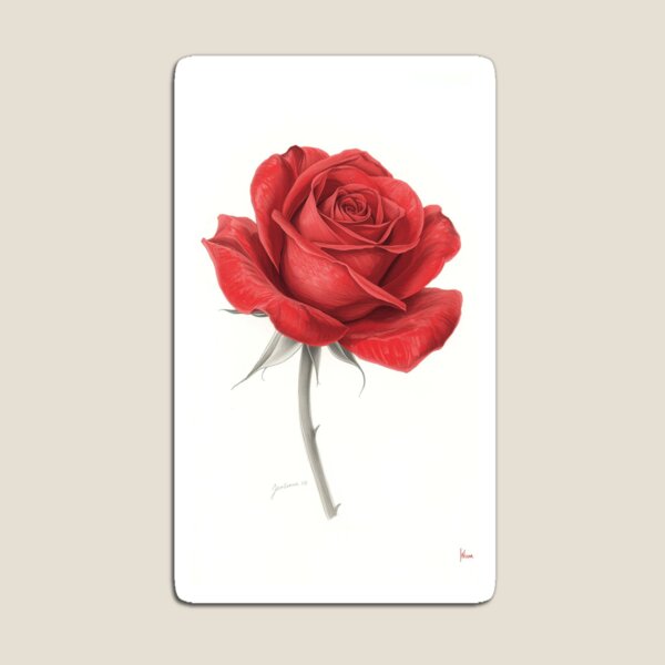 Item preview, Red rose designed and sold by LauraCent.