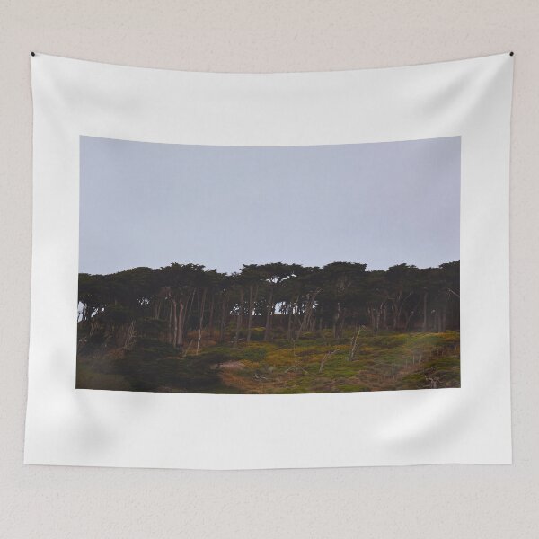Item preview, Misty Coastal Trees designed and sold by Phakade's Photos.