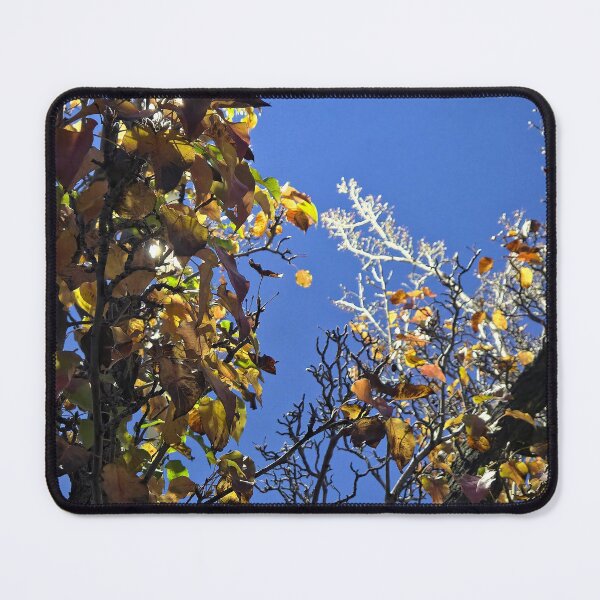 Item preview, Urban Lighting designed and sold by Betsy Phillips.
