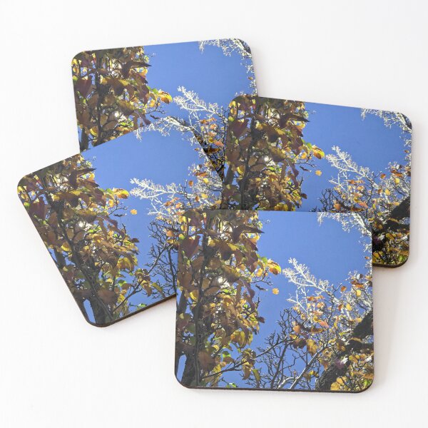 Item preview, Urban Lighting designed and sold by Betsy Phillips.