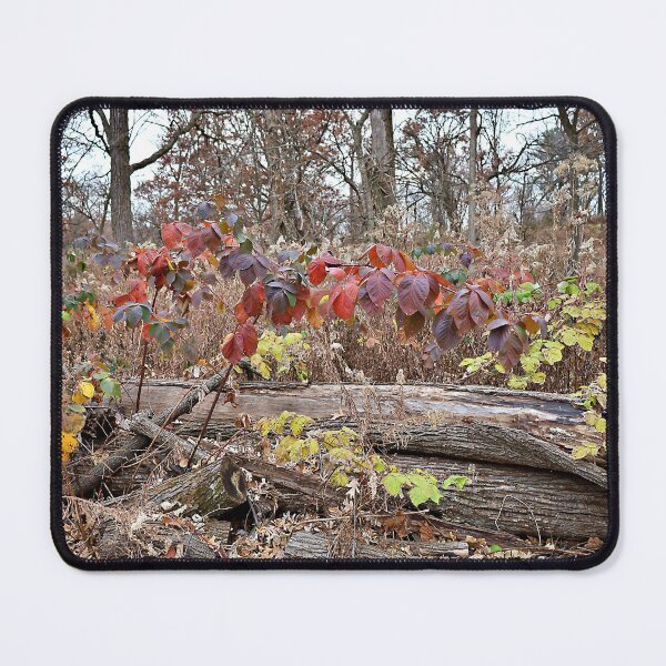 Item preview, Autumn's Forest Floor Foliage designed and sold by Martha Sherman.