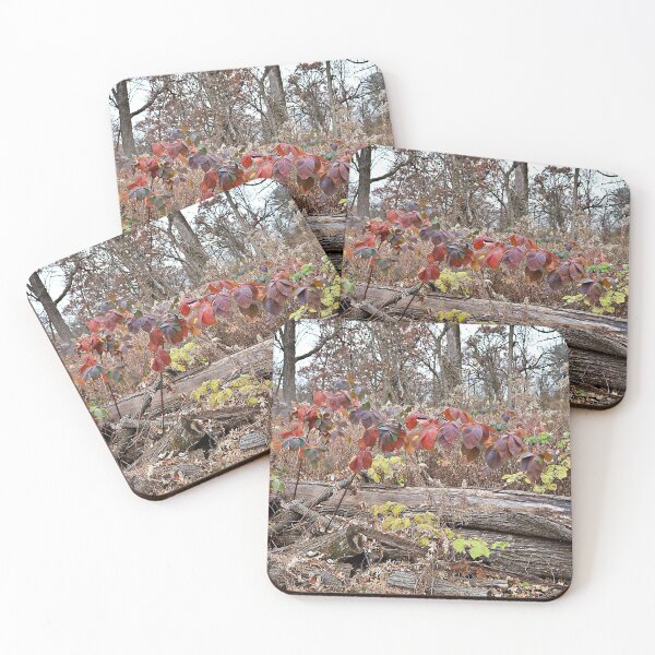 Item preview, Autumn's Forest Floor Foliage  designed and sold by Martha Sherman.