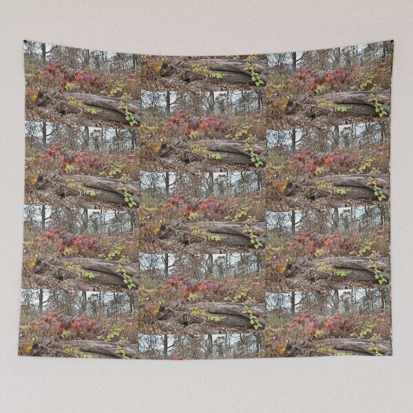 Item preview, Autumn's Forest Floor Foliage  designed and sold by Martha Sherman.