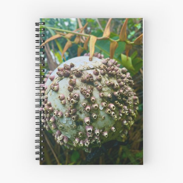 Item preview, Barnacle-Covered Sea Orb – Coastal Ocean Texture designed and sold by TrisaThyme.
