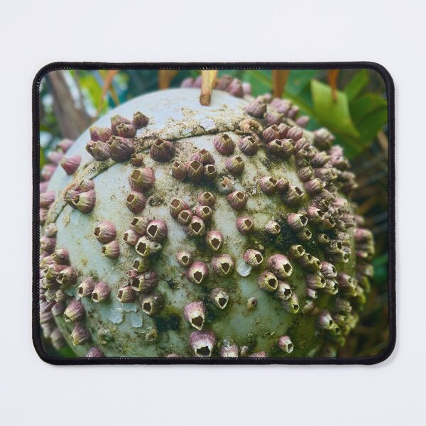 Item preview, Barnacle-Covered Sea Orb – Coastal Ocean Texture designed and sold by TrisaThyme.