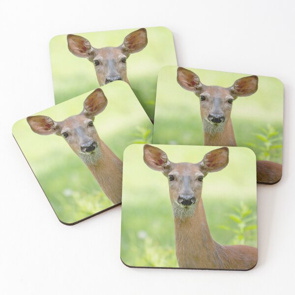 Item preview, A female deer in a field designed and sold by Production Art Manon Meilleur.