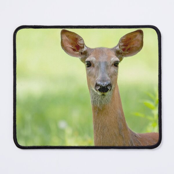 Item preview, A female deer in a field designed and sold by Production Art Manon Meilleur.