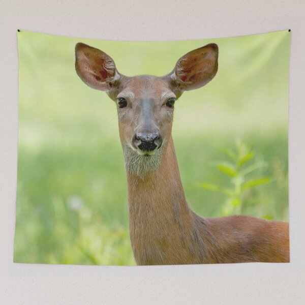 Item preview, A female deer in a field designed and sold by Production Art Manon Meilleur.