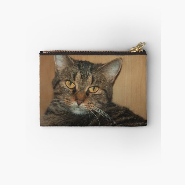 Item preview, Cat with yellowish eyes designed and sold by Production Art Manon Meilleur.