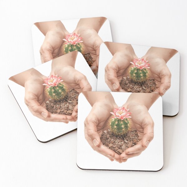 Item preview, Hands Holding Cactus with Flower, Gentle Botanical Illustration Sticker designed and sold by Moodune.