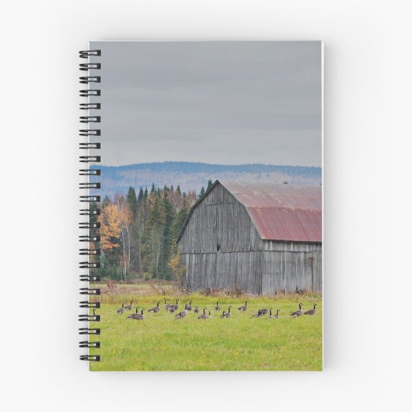 Item preview, Red-roofed barn in the Laurentians, Quebec, Canada designed and sold by Production Art Manon Meilleur.