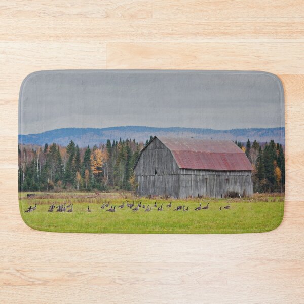 Item preview, Red-roofed barn in the Laurentians, Quebec, Canada designed and sold by Production Art Manon Meilleur.