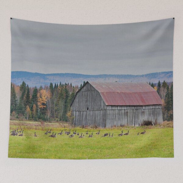Item preview, Red-roofed barn in the Laurentians, Quebec, Canada designed and sold by Production Art Manon Meilleur.