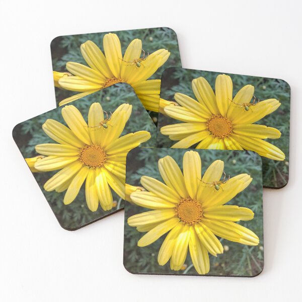 Item preview, A yellow flower with a little green spider designed and sold by KrencyArt.