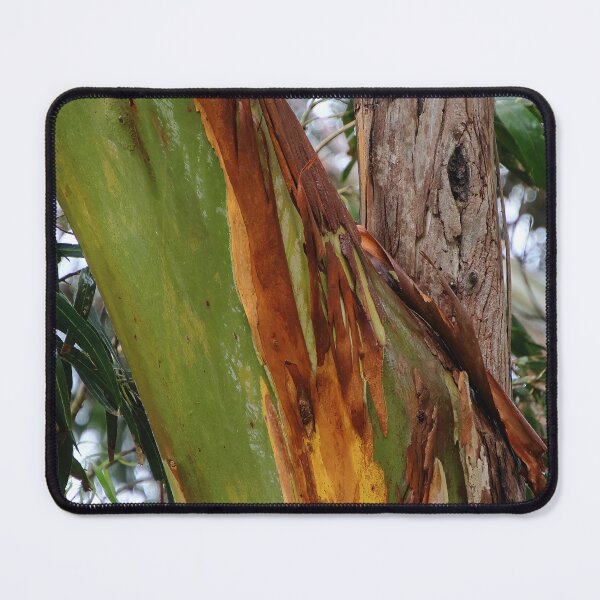 Item preview, eucalypt bark colours at Boat Harbour designed and sold by Gaylene Norton.