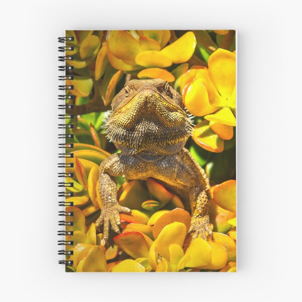 Item preview, Succulent Dragon 2 designed and sold by Soulful Nature Fine Art.