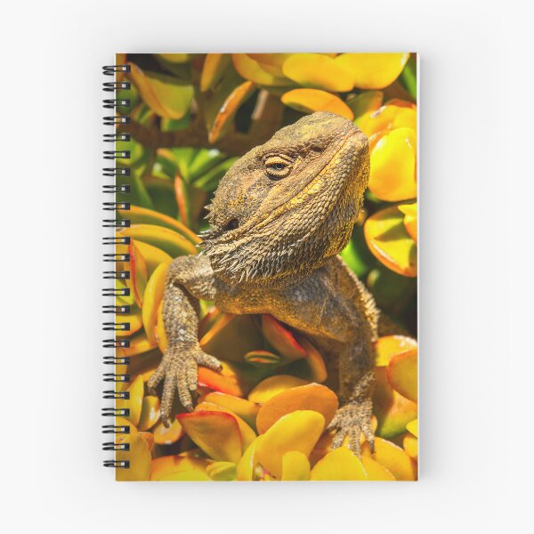 Item preview, Succulent Dragon 1 designed and sold by Soulful Nature Fine Art.