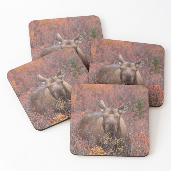 Item preview, Moose in fall designed and sold by GivernyKate.