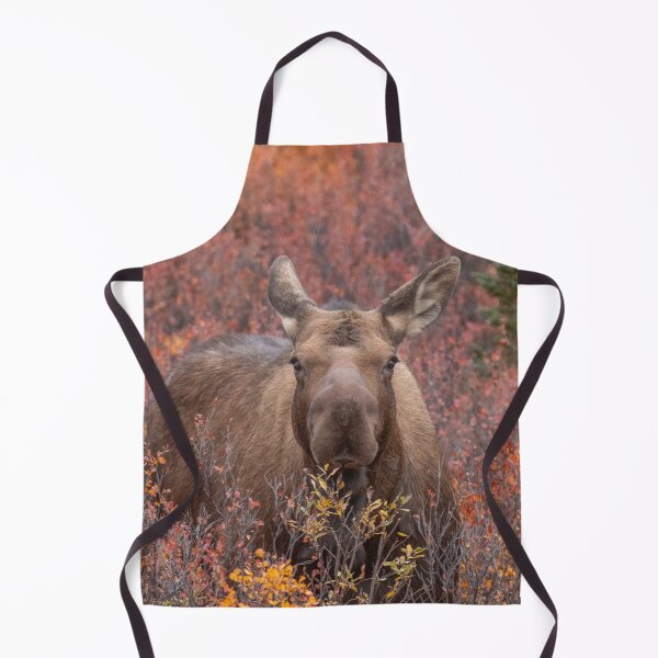 Item preview, Moose in fall designed and sold by GivernyKate.