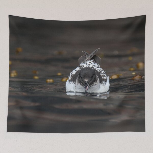 Item preview, Cape Petrel on dark water designed and sold by GivernyKate.