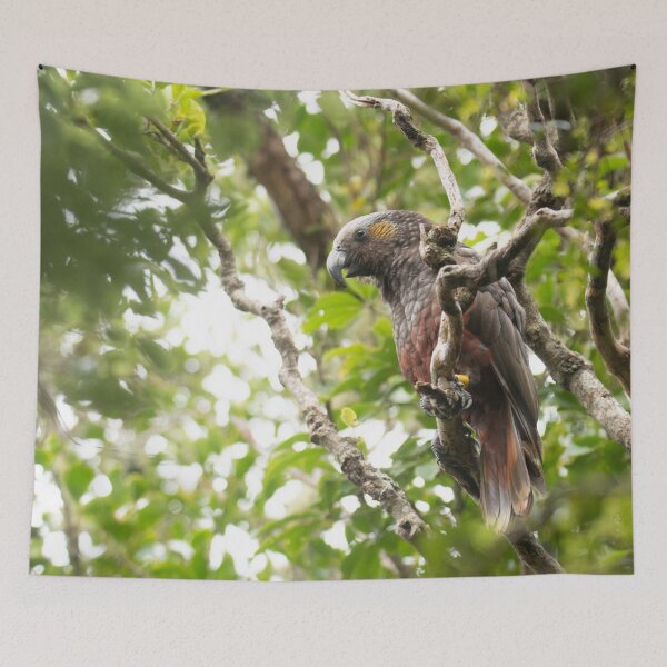 Item preview, Kākā parrot in green tree designed and sold by GivernyKate.