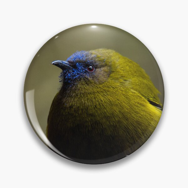 Item preview, Korimako / Bell bird male designed and sold by GivernyKate.