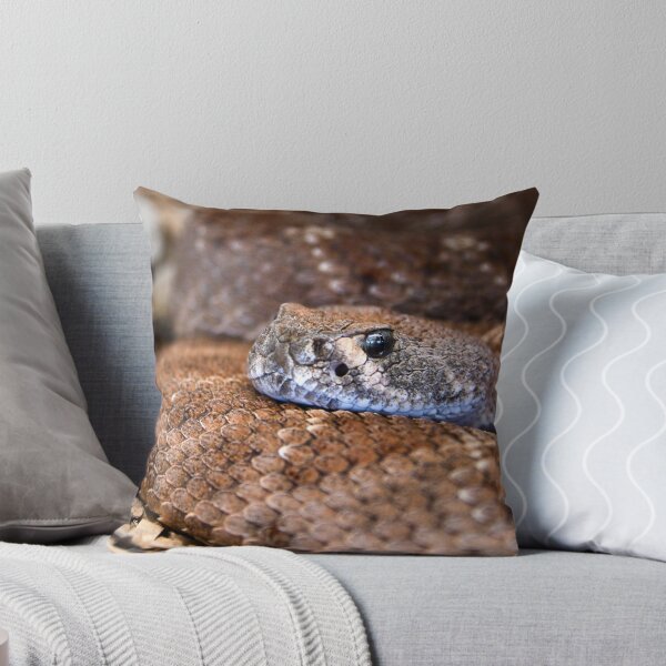 Item preview, Brown Snake – Silver-grey gaze directly at the viewer / Swiss Artwork Photography designed and sold by Raphael Wolf.
