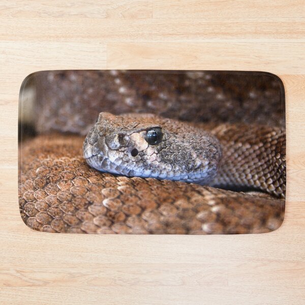 Item preview, Brown Snake – Silver-grey gaze directly at the viewer / Swiss Artwork Photography designed and sold by Raphael Wolf.