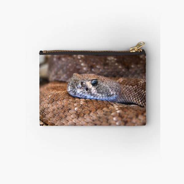 Item preview, Brown Snake – Silver-grey gaze directly at the viewer / Swiss Artwork Photography designed and sold by Raphael Wolf.